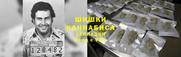 дмт Богородск