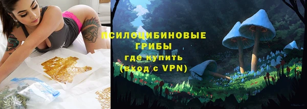 дмт Богородск